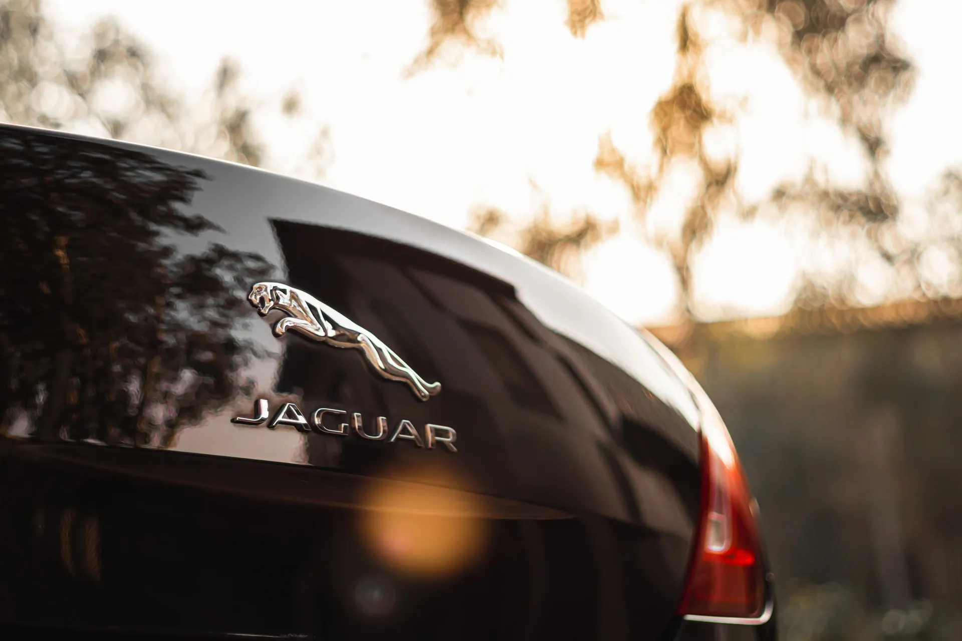 Rent Jaguar&nbsp;XJ&nbsp;L for wedding, corporate tour and Personal travel at Luxorides